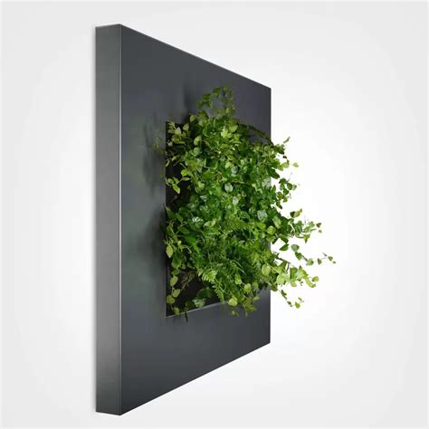 metal box for plant on wall|self watering living wall planter.